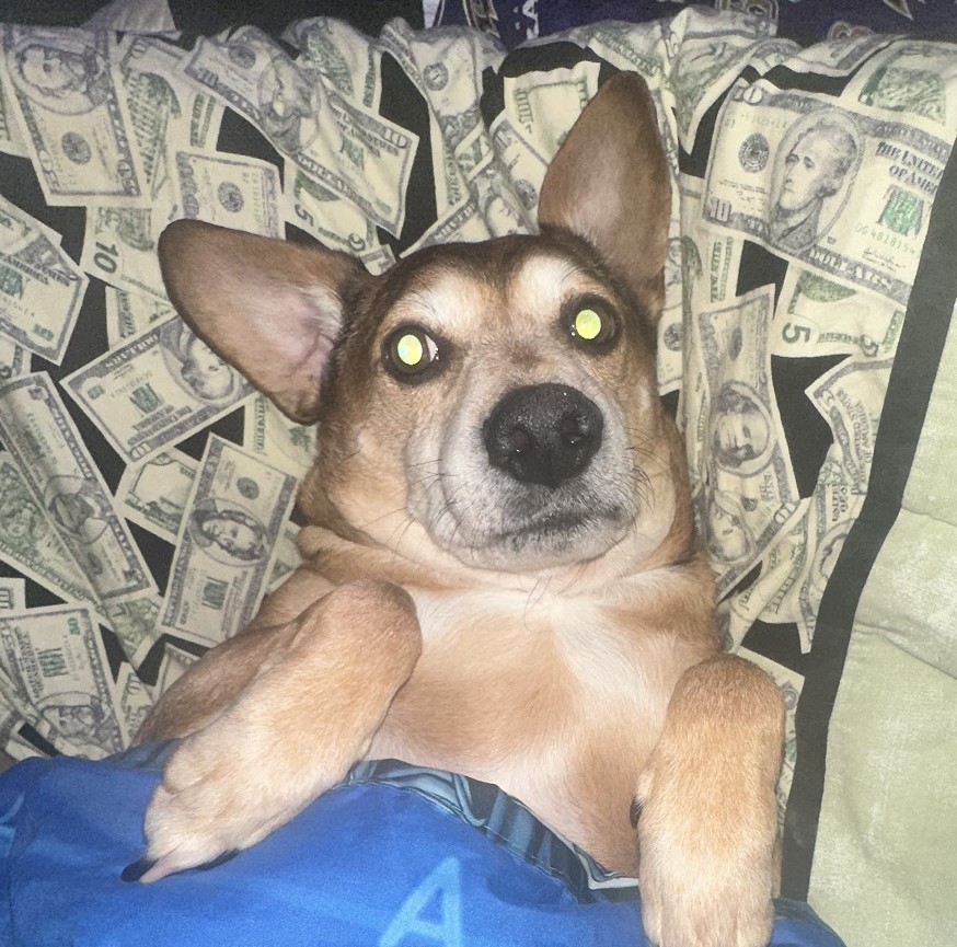 Jax Incorporated Logo